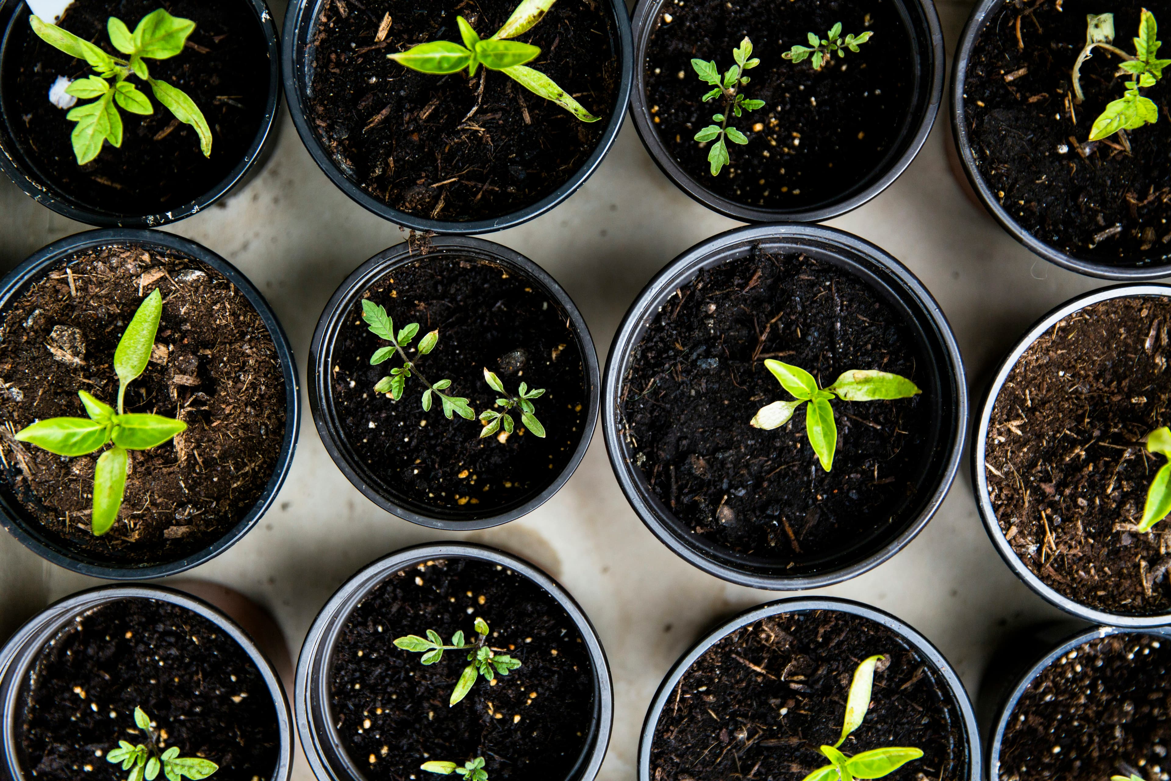 Understanding Climate-Smart Agriculture
